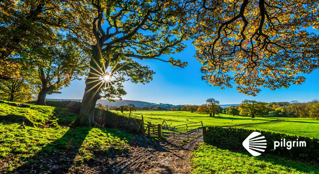 The Camino de Santiago in Summer